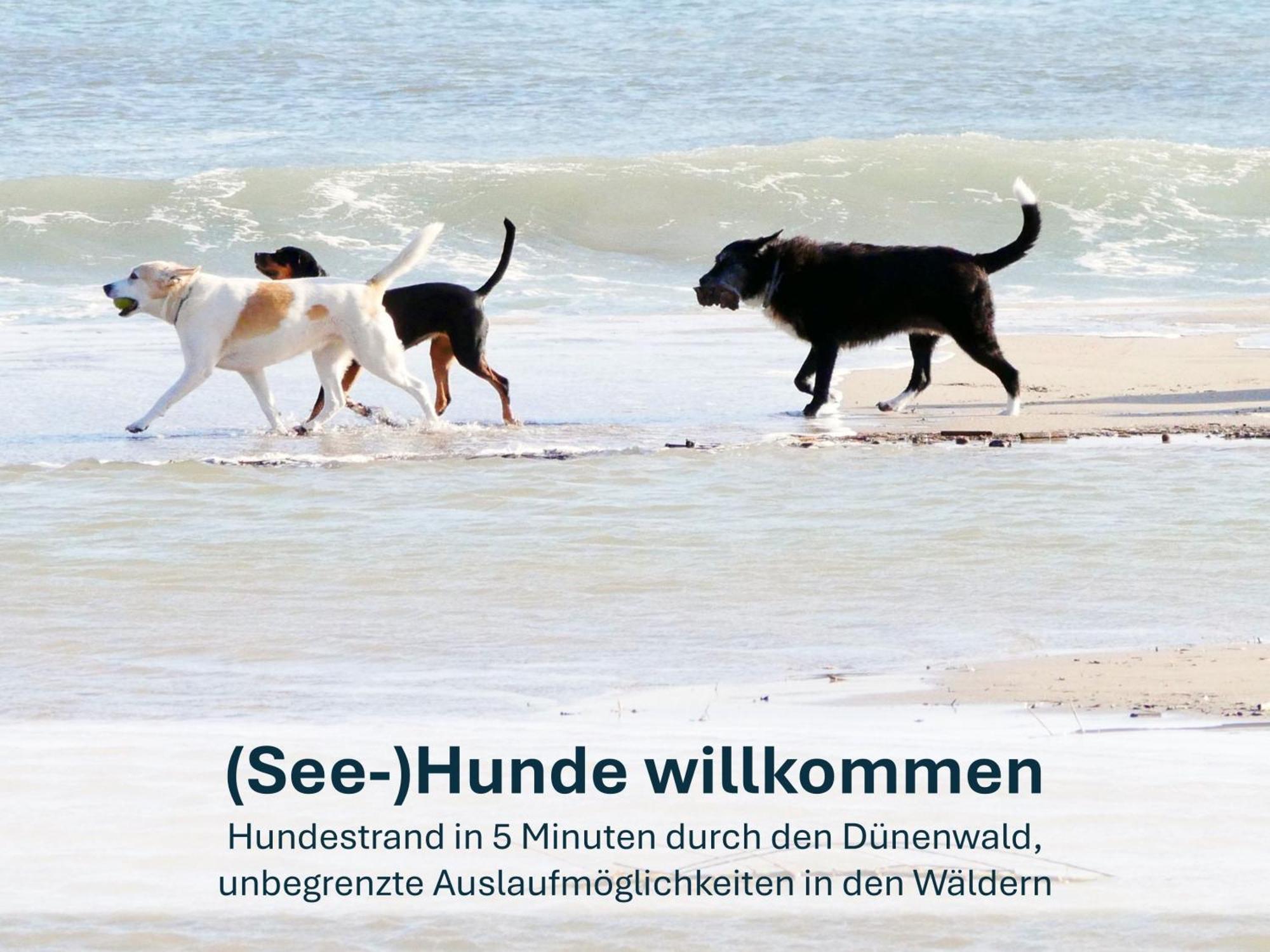 Paradies-Ambiente - Strandnah, Sauna, Kamin, Hundefreundlich Zinnowitz Exterior photo